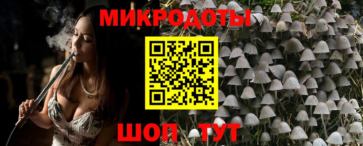 Псилоцибиновые грибы ЛСД Елец